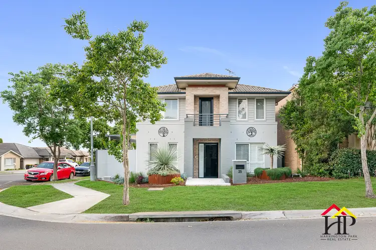 Main view of Homely house listing, 25 Irvine Street, Elderslie NSW 2570