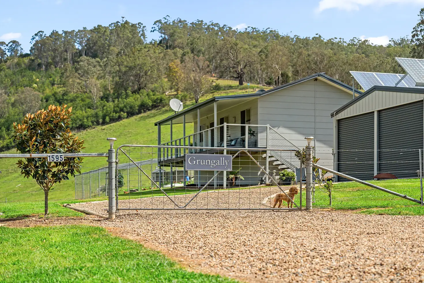 Main view of Homely rural property listing, 1595 Neringla Road, Braidwood NSW 2622