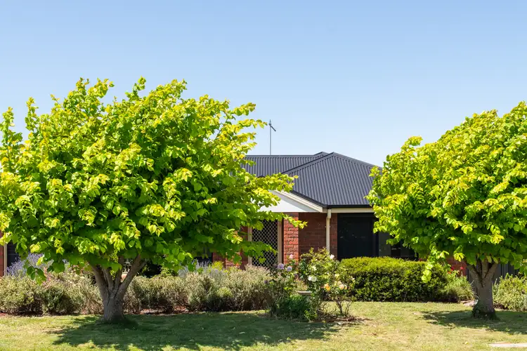 Main view of Homely house listing, 15 Bethune Place, Newnham TAS 7248