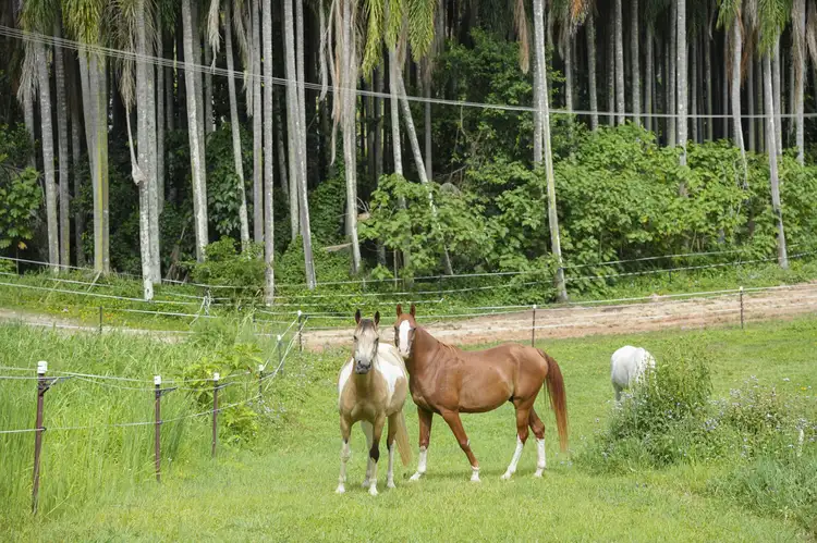 Fifth view of Homely rural property listing, 27 Mark Way, Mudgeeraba QLD 4213
