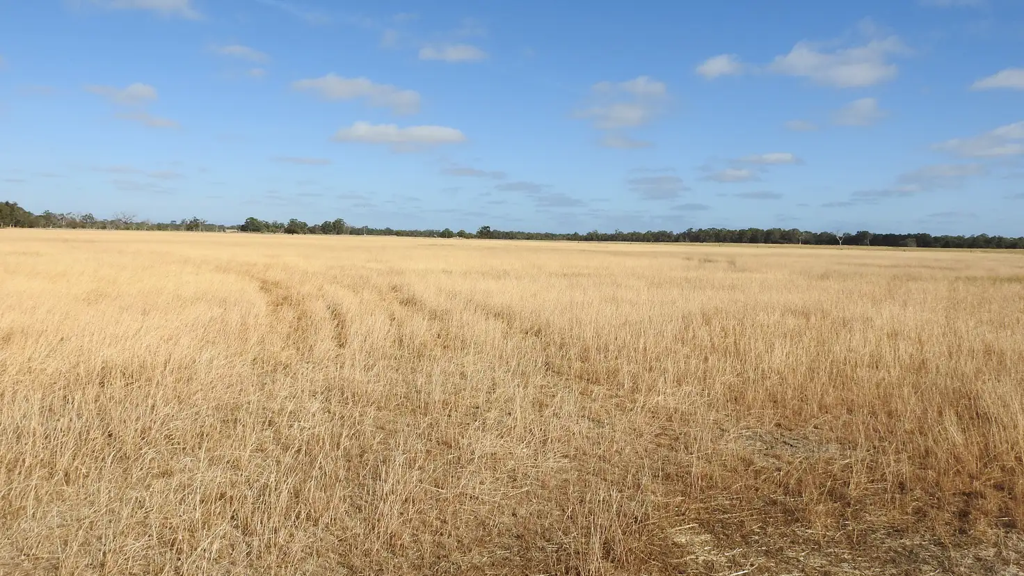 Main view of Homely rural property listing, Lot 2339 Cnr Edwards & Doyle Road (Ambergate), Busselton WA 6280