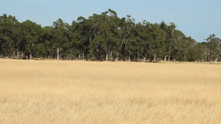 Second view of Homely rural property listing, Lot 2339 Cnr Edwards & Doyle Road (Ambergate), Busselton WA 6280