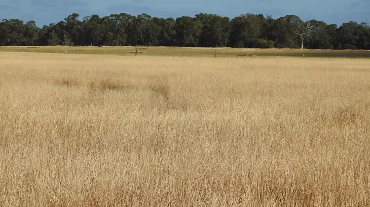 Third view of Homely rural property listing, Lot 2339 Cnr Edwards & Doyle Road (Ambergate), Busselton WA 6280