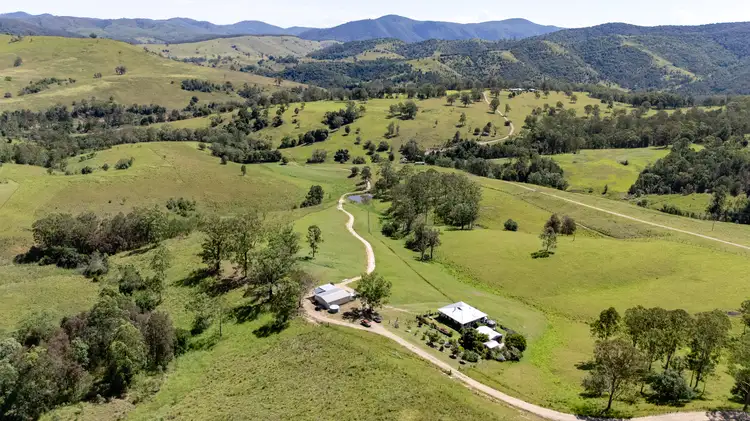 Sixth view of Homely rural property listing, 2869 Nowendoc Road, Caffreys Flat NSW 2424