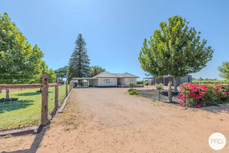459 Cowanna Avenue, Merbein VIC 3505