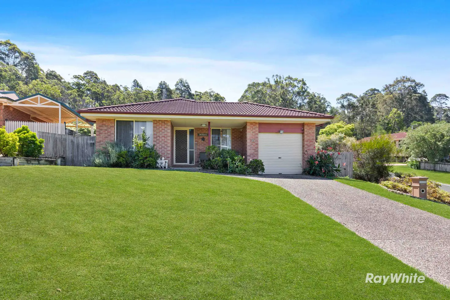 Main view of Homely house listing, 56 Melaleuca Crescent, Catalina NSW 2536