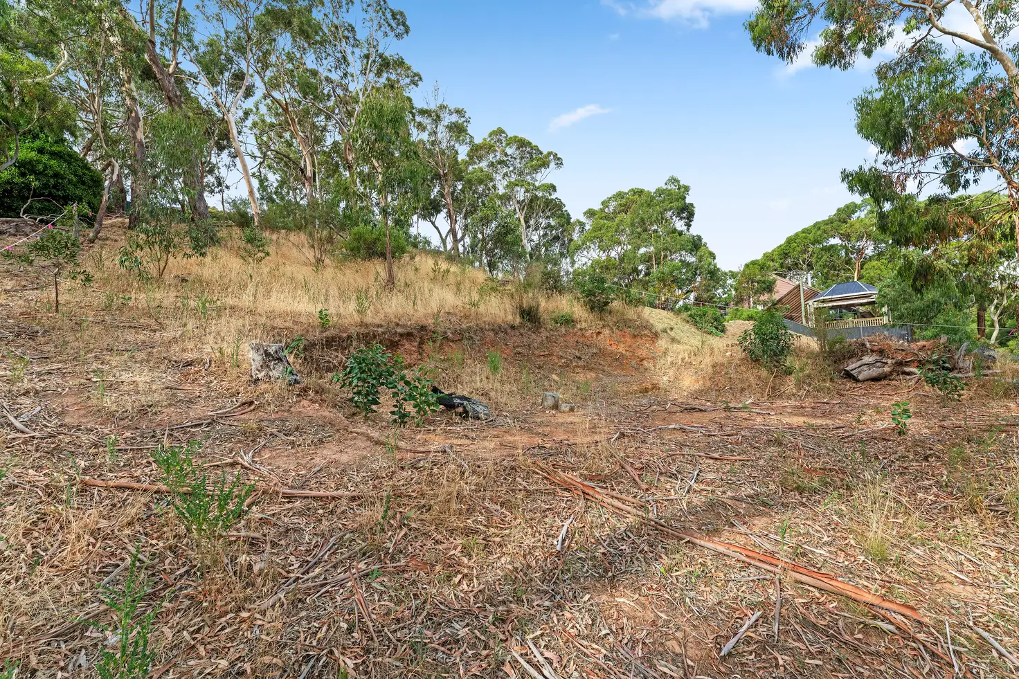 Main view of Homely land listing, 761 Greenhill Road, Greenhill SA 5140