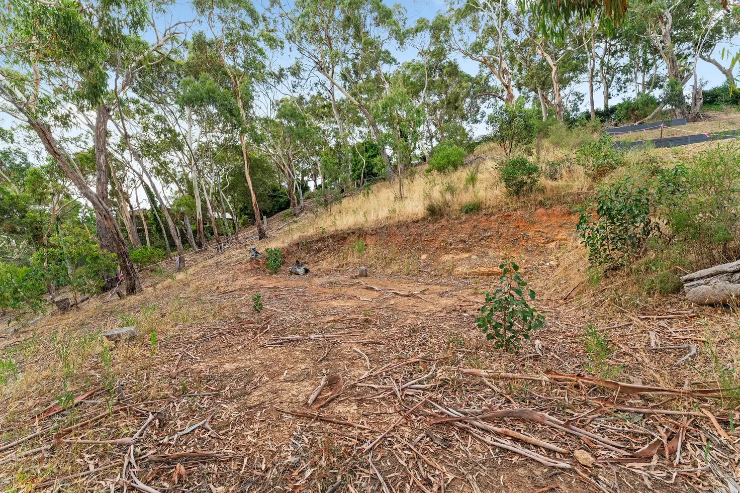 Main view of Homely land listing, 761 Greenhill Road, Greenhill SA 5140