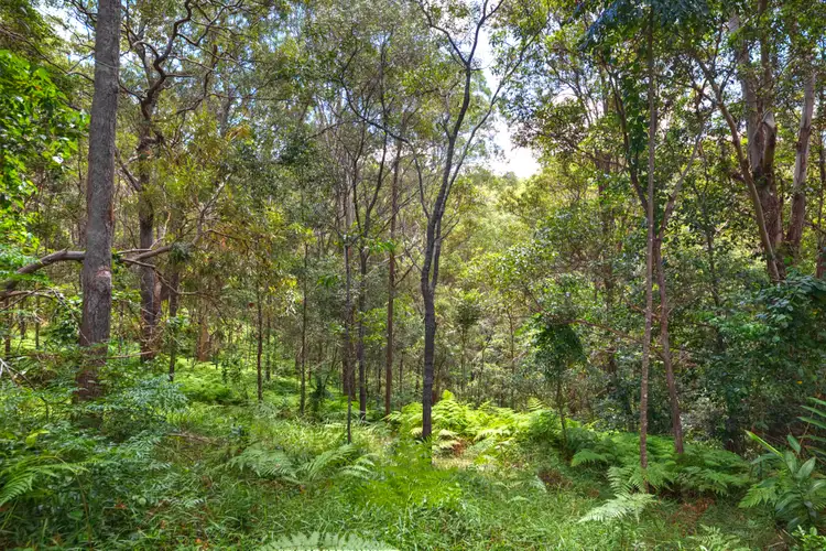 Fifth view of Homely land listing, 17 Bartle Frere Court, Doonan QLD 4562