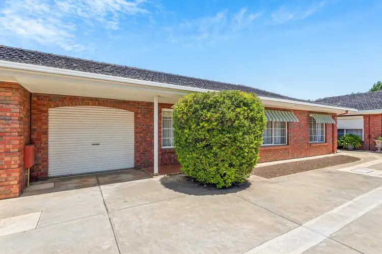 319 Anzac Highway