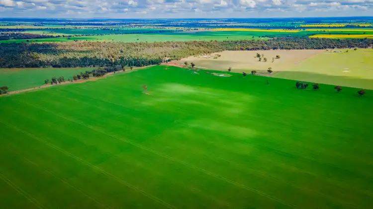 Main view of Homely rural property listing, 80 Lucas Lane, Coolamon NSW 2701