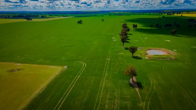 Second view of Homely rural property listing, 80 Lucas Lane, Coolamon NSW 2701