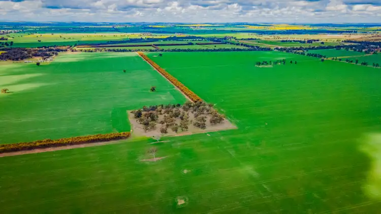 Fourth view of Homely rural property listing, 80 Lucas Lane, Coolamon NSW 2701