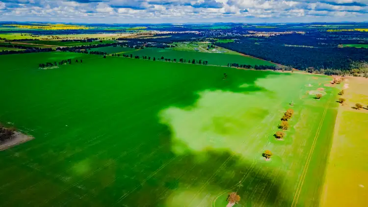 Fifth view of Homely rural property listing, 80 Lucas Lane, Coolamon NSW 2701