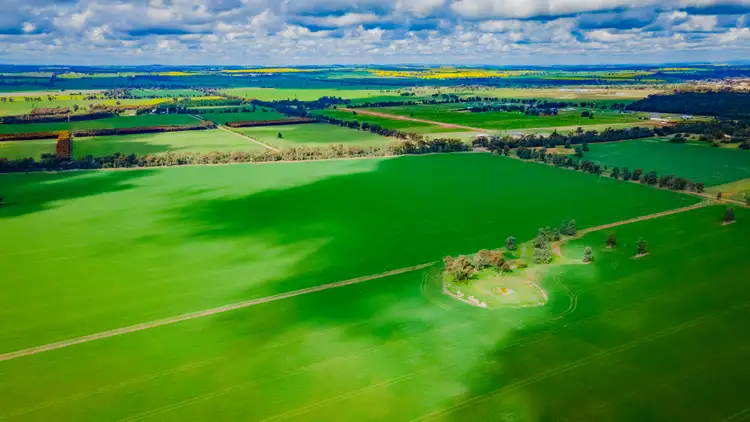 Sixth view of Homely rural property listing, 80 Lucas Lane, Coolamon NSW 2701