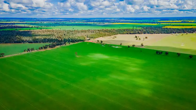 Seventh view of Homely rural property listing, 80 Lucas Lane, Coolamon NSW 2701