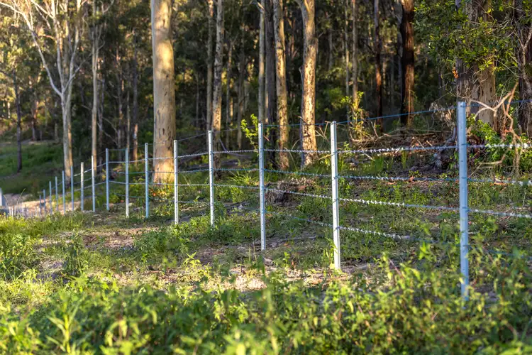 Sixth view of Homely rural property listing, 262 Wallaby Joe Road, Wingham NSW 2429