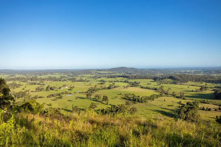 Seventh view of Homely rural property listing, 262 Wallaby Joe Road, Wingham NSW 2429