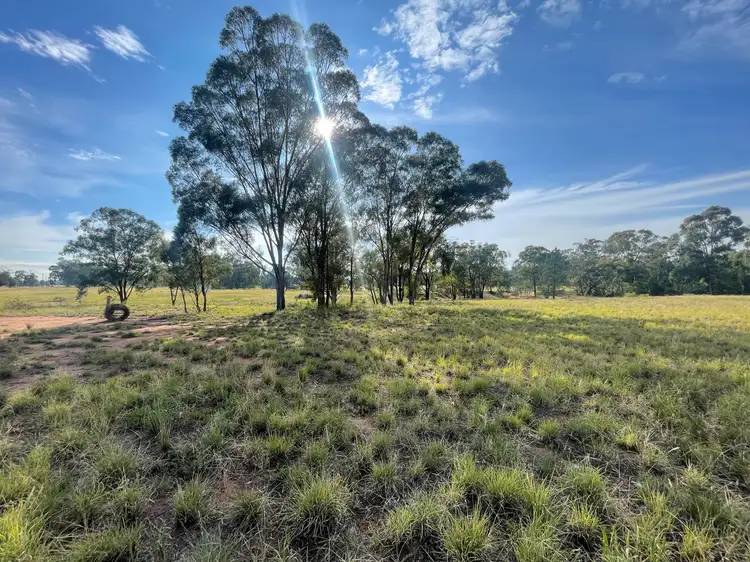 Fourth view of Homely land listing, Lot 101 Kingsley Road, Eumungerie NSW 2822