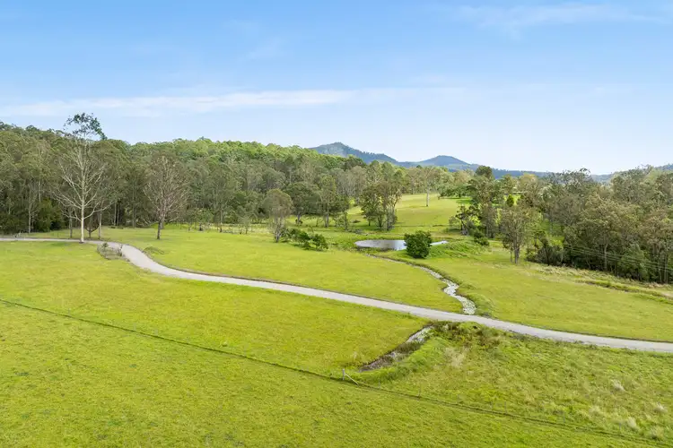 Main view of Homely house listing, 552 Larrys Mountain Road, Mogendoura NSW 2537