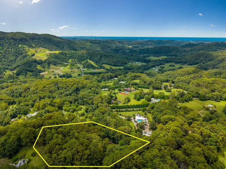 Main view of Homely rural property listing, 446 Tomewin Mountain Road, Currumbin Valley QLD 4223