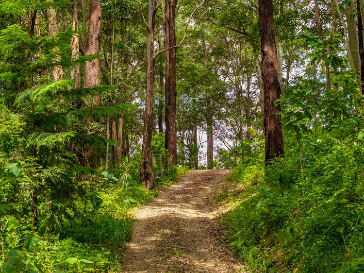 Second view of Homely rural property listing, 446 Tomewin Mountain Road, Currumbin Valley QLD 4223