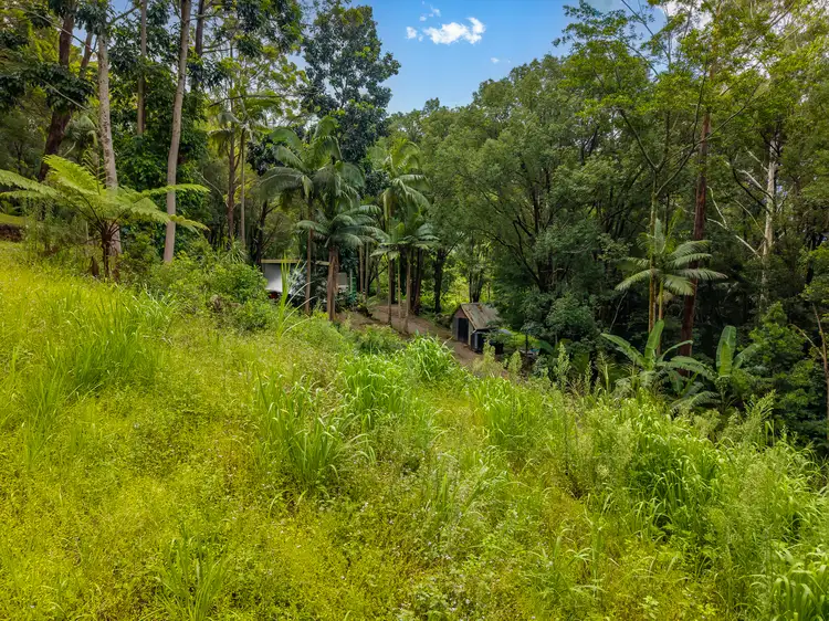 Fifth view of Homely rural property listing, 446 Tomewin Mountain Road, Currumbin Valley QLD 4223
