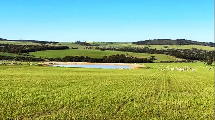 Address available on request