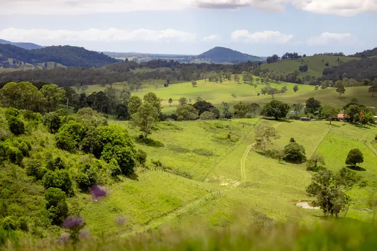 Second view of Homely rural property listing, 39 Sambells Road, Firefly NSW 2429