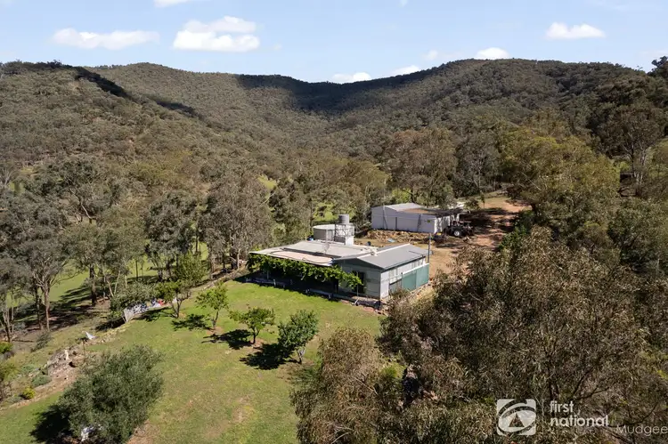 Second view of Homely rural property listing, 669 Maitland Bar Road, Mudgee NSW 2850