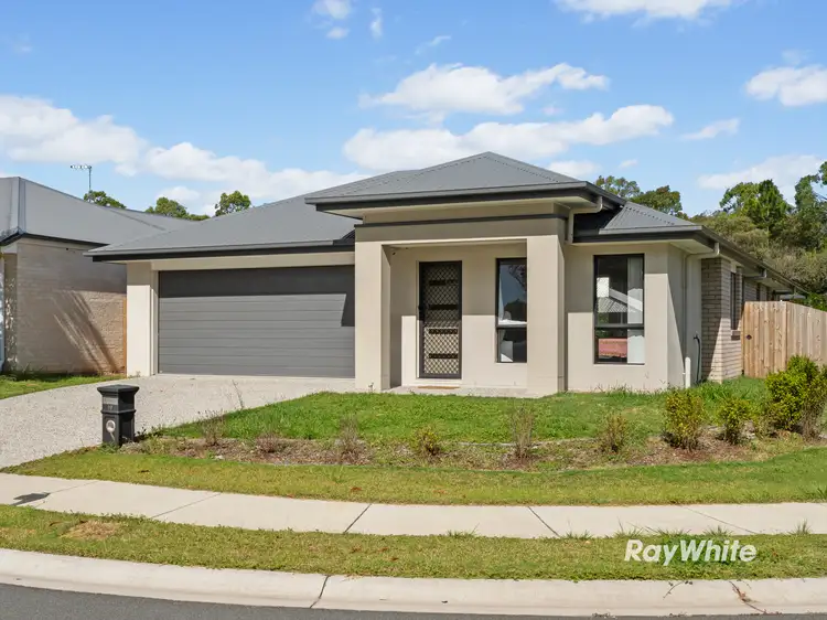 19 Birchwood Street, Park Ridge QLD 4125