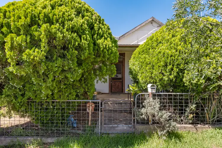 14 Thomas Street, Junee NSW 2663