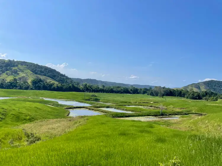 Fourth view of Homely land listing, 141 Stewart Creek Road, Stewart Creek Valley, Daintree QLD 4873