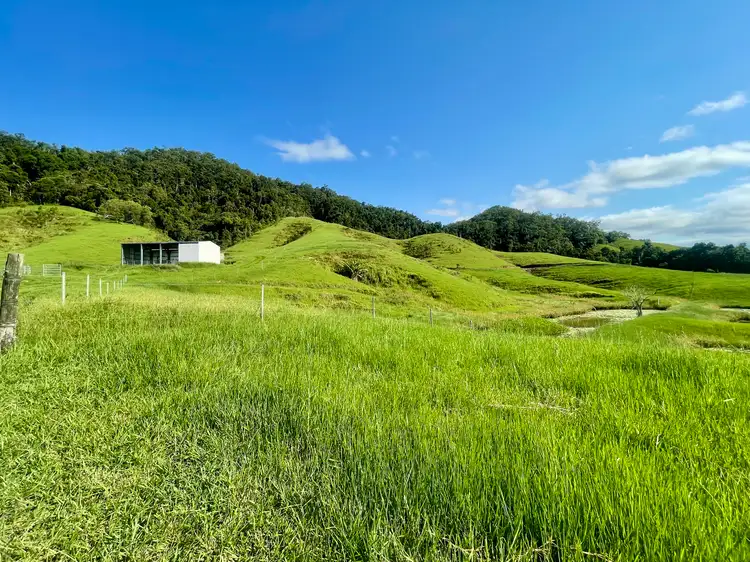 Fifth view of Homely land listing, 141 Stewart Creek Road, Stewart Creek Valley, Daintree QLD 4873