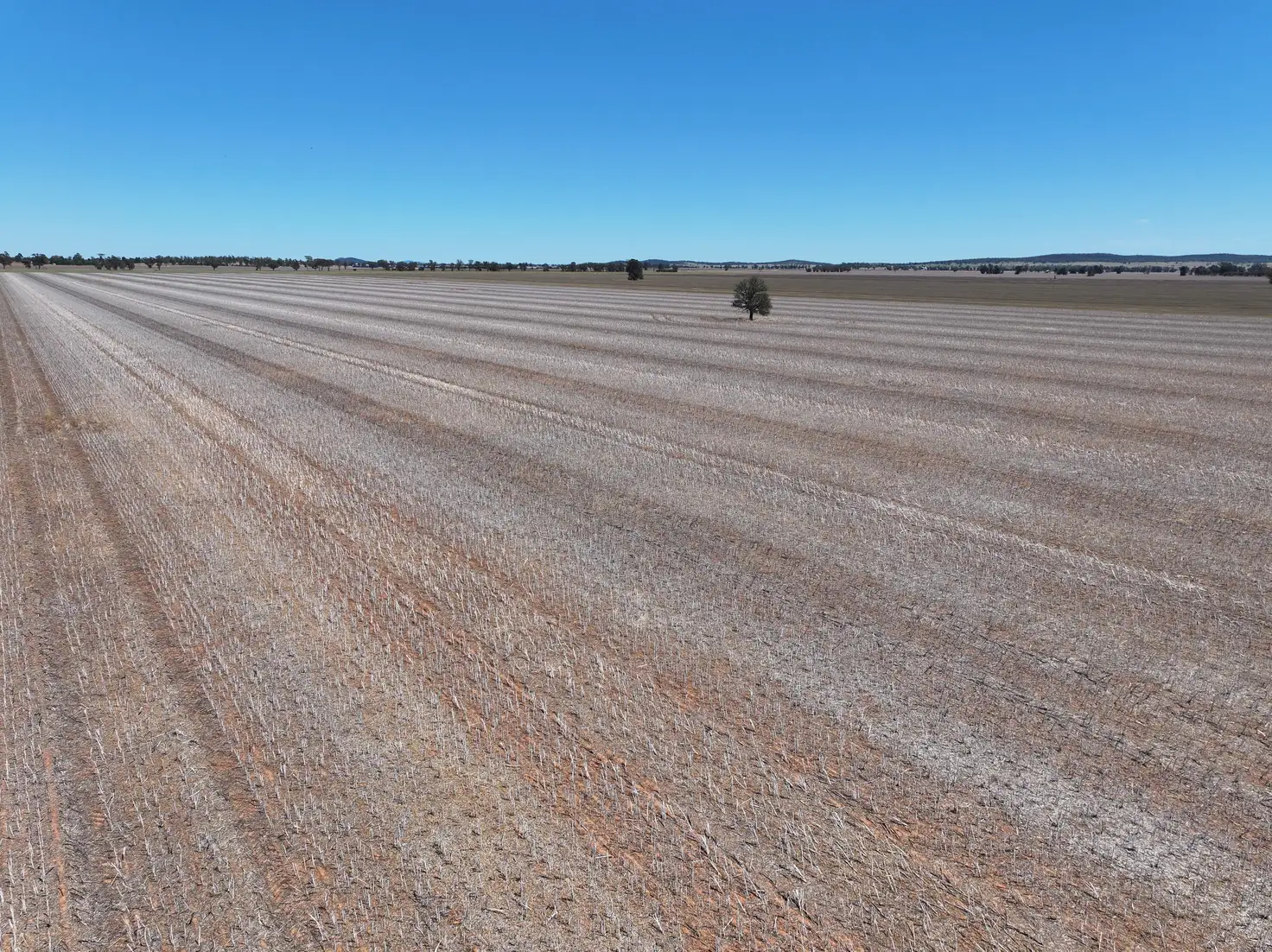 Main view of Homely rural property listing, "Glen Avon" 99 Davies Lane, Caragabal NSW 2810