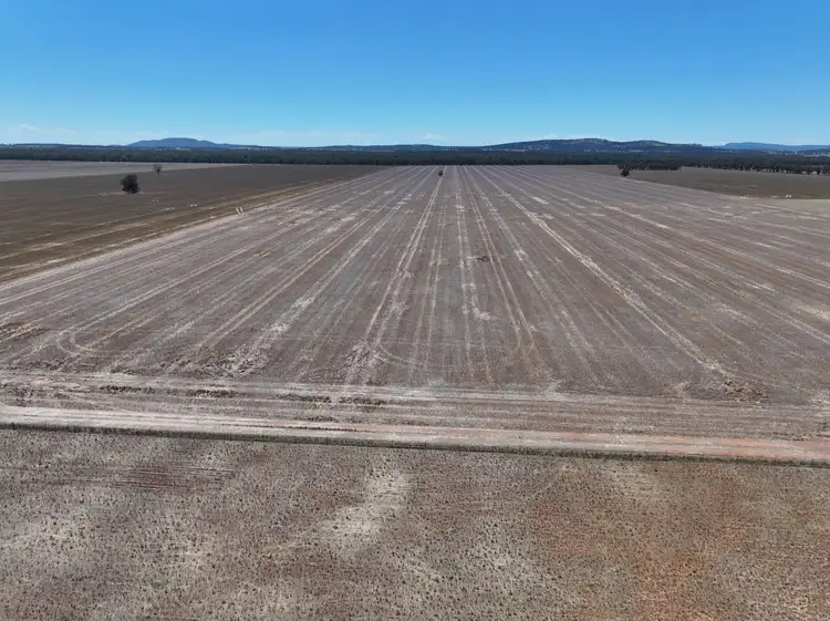 Third view of Homely rural property listing, "Glen Avon" 99 Davies Lane, Caragabal NSW 2810