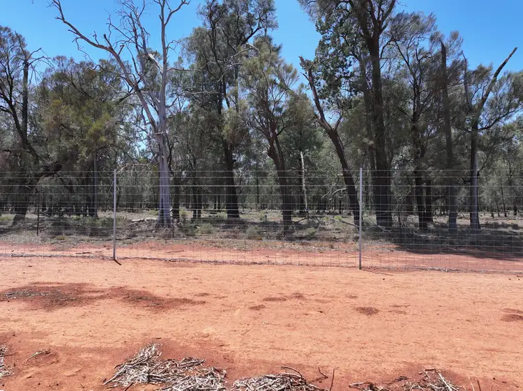 Sixth view of Homely rural property listing, "Glen Avon" 99 Davies Lane, Caragabal NSW 2810