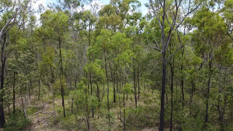 Second view of Homely rural property listing, 861 Duckpond Road, Moolboolaman QLD 4671