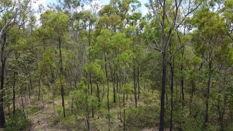 Second view of Homely rural property listing, 861 Duckpond Road, Moolboolaman QLD 4671
