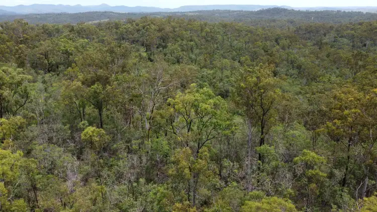 Fourth view of Homely rural property listing, 861 Duckpond Road, Moolboolaman QLD 4671