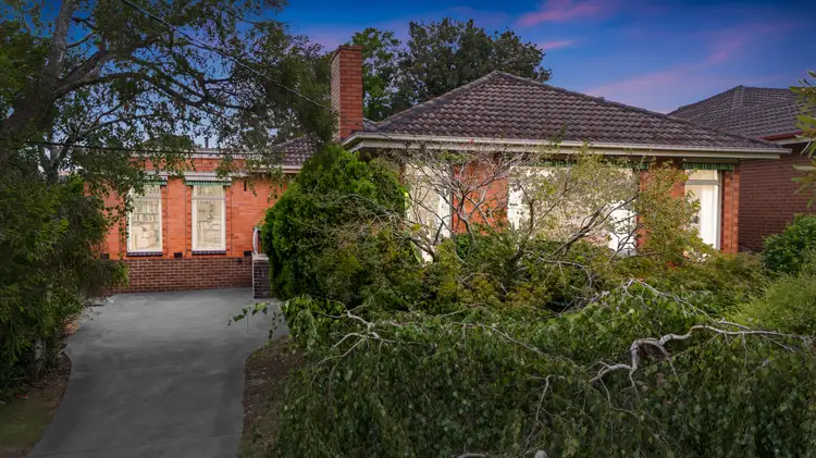 Main view of Homely house listing, 29 Cyprus Avenue, Nunawading VIC 3131