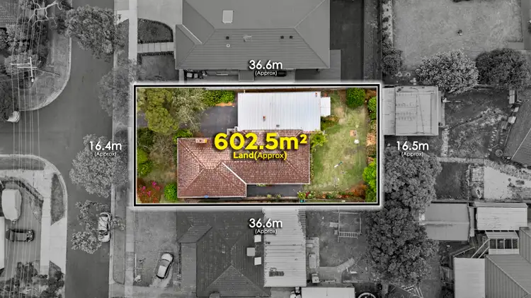 Third view of Homely house listing, 29 Cyprus Avenue, Nunawading VIC 3131