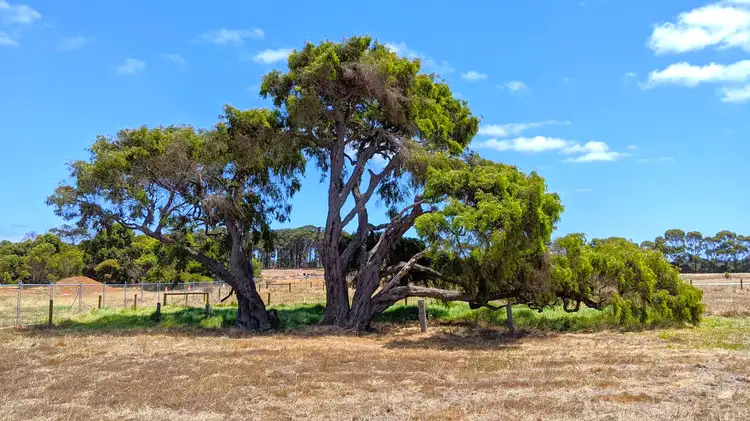 Fourth view of Homely land listing, 15 Rafferty Entrance, Kudardup WA 6290