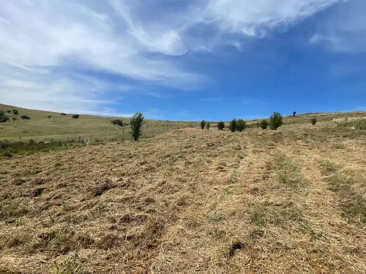 Seventh view of Homely land listing, 37 Hanley Street, Gundagai NSW 2722