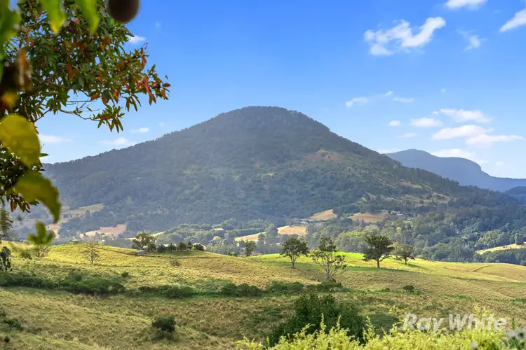 Third view of Homely rural property listing, 48 Boxsell Road, Limpinwood NSW 2484