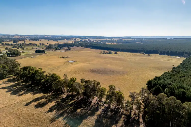 Lot 13 Rosewood Hills Rd, Tumbarumba NSW 2653