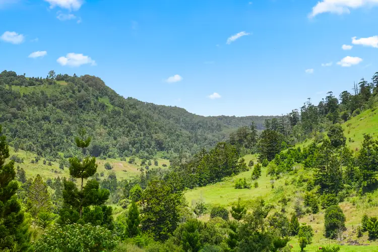 Second view of Homely land listing, 737B Illinbah Road, Illinbah QLD 4275