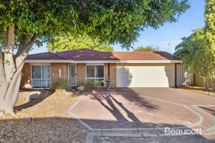 Main view of Homely house listing, 14 Bridges Rise, Kiara WA 6054