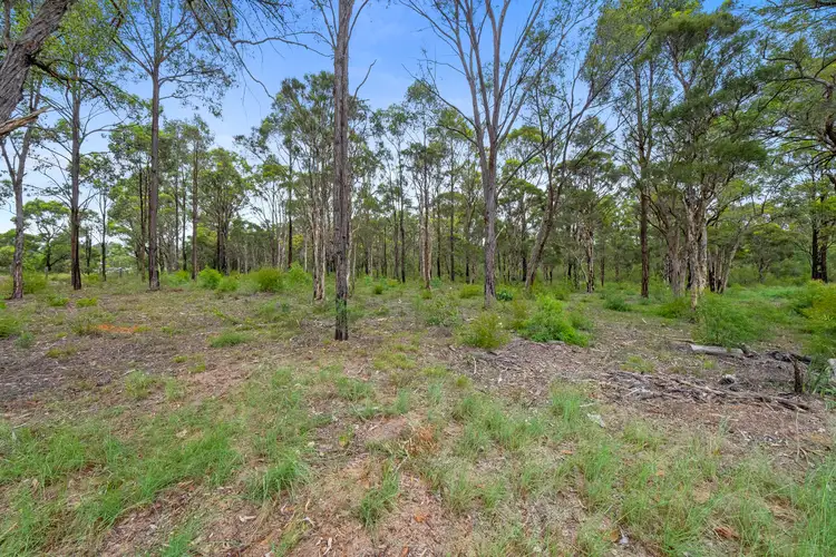 Sixth view of Homely land listing, 821 The Northern Road, Cranebrook NSW 2749