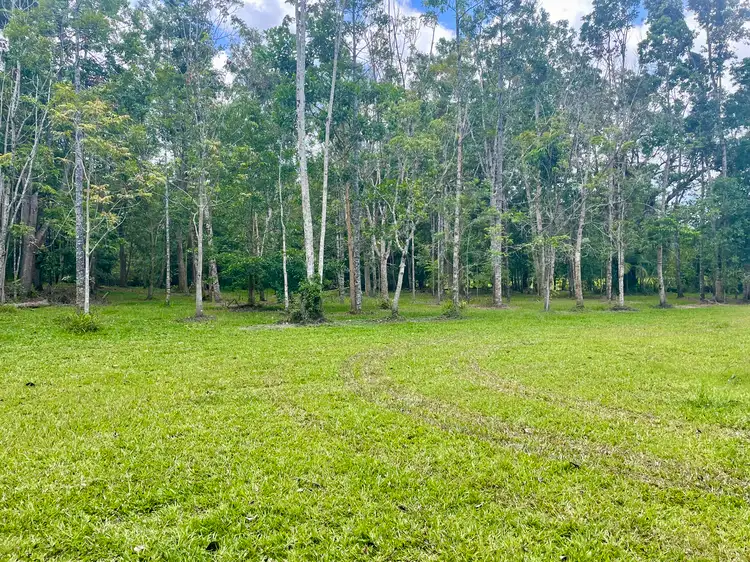 Third view of Homely land listing, 2869 Mossman Daintree Road, Lower Daintree, Daintree QLD 4873